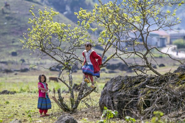 Sapa Tour 2 Days - 1 Night
