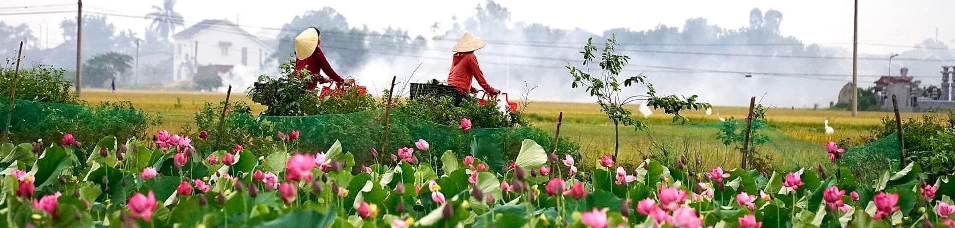 La Chu Village Day Tour: Immerse in the La Chu countryside of Hue with the authentic villages - Image 2
